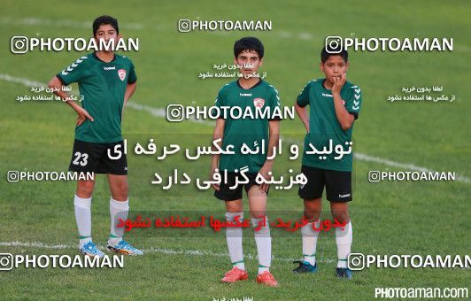 410916, Tehran, , لیگ برتر فوتبال نونهالان تهران, 2016-17 season, Kia Academy 5 - 1 Rah Ahan on 2016/08/16 at Kaveh Stadium