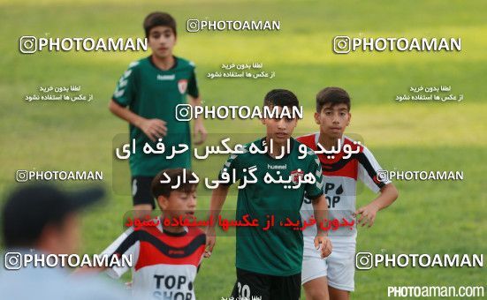 410707, Tehran, , لیگ برتر فوتبال نونهالان تهران, 2016-17 season, Kia Academy 5 - 1 Rah Ahan on 2016/08/16 at Kaveh Stadium