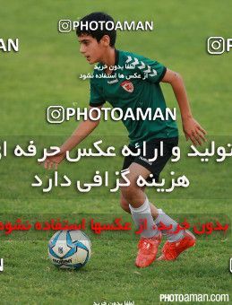 410902, Tehran, , لیگ برتر فوتبال نونهالان تهران, 2016-17 season, Kia Academy 5 - 1 Rah Ahan on 2016/08/16 at Kaveh Stadium