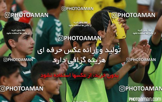 422450, Tehran, , لیگ برتر فوتبال نونهالان تهران, 2016-17 season, Kia Academy 4 - 0 Saipa on 2016/08/30 at Kaveh Stadium