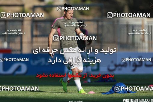 426245, Tehran, [*parameter:4*], لیگ برتر فوتبال ایران، Persian Gulf Cup، Week 7، First Leg، Naft Tehran 2 v 1 Mashin Sazi Tabriz on 2016/09/21 at Takhti Stadium