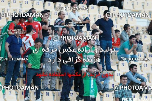 426440, Tehran, [*parameter:4*], لیگ برتر فوتبال ایران، Persian Gulf Cup، Week 7، First Leg، Naft Tehran 2 v 1 Mashin Sazi Tabriz on 2016/09/21 at Takhti Stadium