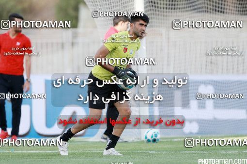 426228, Tehran, [*parameter:4*], لیگ برتر فوتبال ایران، Persian Gulf Cup، Week 7، First Leg، Naft Tehran 2 v 1 Mashin Sazi Tabriz on 2016/09/21 at Takhti Stadium
