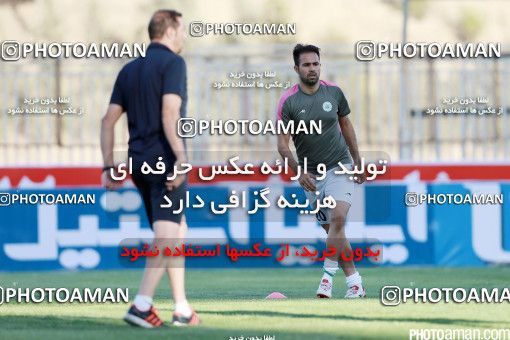 426254, Tehran, [*parameter:4*], لیگ برتر فوتبال ایران، Persian Gulf Cup، Week 7، First Leg، Naft Tehran 2 v 1 Mashin Sazi Tabriz on 2016/09/21 at Takhti Stadium