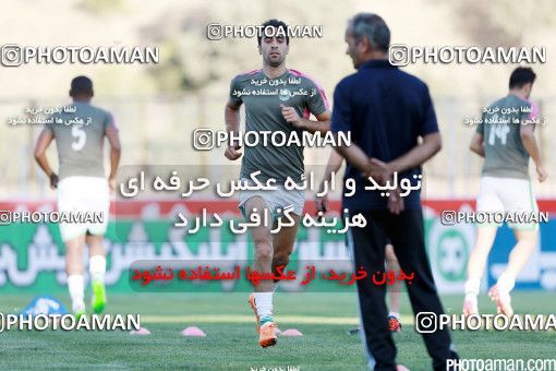426257, Tehran, [*parameter:4*], لیگ برتر فوتبال ایران، Persian Gulf Cup، Week 7، First Leg، Naft Tehran 2 v 1 Mashin Sazi Tabriz on 2016/09/21 at Takhti Stadium