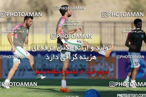 426247, Tehran, [*parameter:4*], لیگ برتر فوتبال ایران، Persian Gulf Cup، Week 7، First Leg، Naft Tehran 2 v 1 Mashin Sazi Tabriz on 2016/09/21 at Takhti Stadium