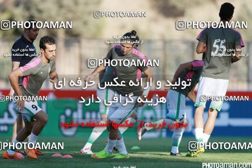 426249, Tehran, [*parameter:4*], لیگ برتر فوتبال ایران، Persian Gulf Cup، Week 7، First Leg، Naft Tehran 2 v 1 Mashin Sazi Tabriz on 2016/09/21 at Takhti Stadium