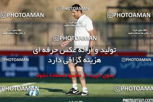 426283, Tehran, [*parameter:4*], لیگ برتر فوتبال ایران، Persian Gulf Cup، Week 7، First Leg، Naft Tehran 2 v 1 Mashin Sazi Tabriz on 2016/09/21 at Takhti Stadium