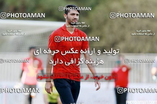 426230, Tehran, [*parameter:4*], لیگ برتر فوتبال ایران، Persian Gulf Cup، Week 7، First Leg، Naft Tehran 2 v 1 Mashin Sazi Tabriz on 2016/09/21 at Takhti Stadium