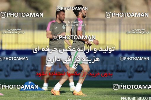 426246, Tehran, [*parameter:4*], لیگ برتر فوتبال ایران، Persian Gulf Cup، Week 7، First Leg، Naft Tehran 2 v 1 Mashin Sazi Tabriz on 2016/09/21 at Takhti Stadium