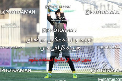 426292, Tehran, [*parameter:4*], لیگ برتر فوتبال ایران، Persian Gulf Cup، Week 7، First Leg، Naft Tehran 2 v 1 Mashin Sazi Tabriz on 2016/09/21 at Takhti Stadium