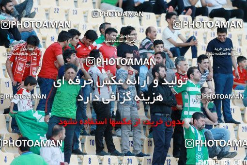 426441, Tehran, [*parameter:4*], لیگ برتر فوتبال ایران، Persian Gulf Cup، Week 7، First Leg، Naft Tehran 2 v 1 Mashin Sazi Tabriz on 2016/09/21 at Takhti Stadium