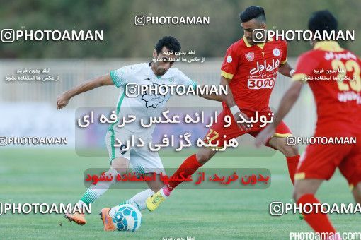 426420, Tehran, [*parameter:4*], لیگ برتر فوتبال ایران، Persian Gulf Cup، Week 7، First Leg، Naft Tehran 2 v 1 Mashin Sazi Tabriz on 2016/09/21 at Takhti Stadium