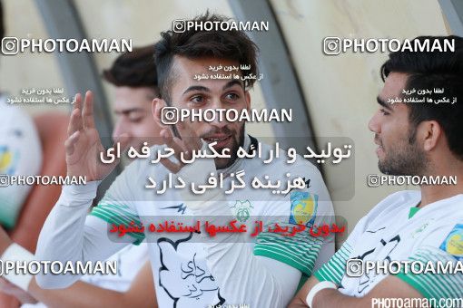 426365, Tehran, [*parameter:4*], لیگ برتر فوتبال ایران، Persian Gulf Cup، Week 7، First Leg، Naft Tehran 2 v 1 Mashin Sazi Tabriz on 2016/09/21 at Takhti Stadium