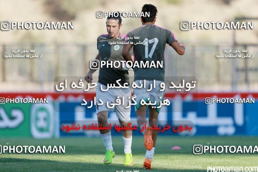 426237, Tehran, [*parameter:4*], لیگ برتر فوتبال ایران، Persian Gulf Cup، Week 7، First Leg، Naft Tehran 2 v 1 Mashin Sazi Tabriz on 2016/09/21 at Takhti Stadium