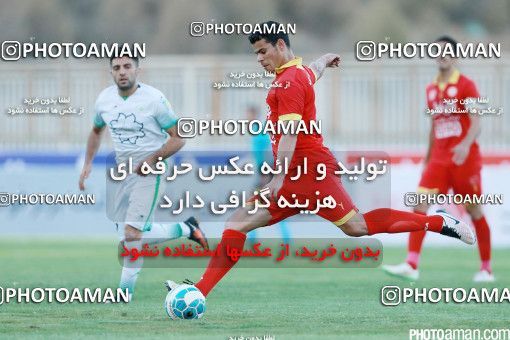 426463, Tehran, [*parameter:4*], لیگ برتر فوتبال ایران، Persian Gulf Cup، Week 7، First Leg، Naft Tehran 2 v 1 Mashin Sazi Tabriz on 2016/09/21 at Takhti Stadium