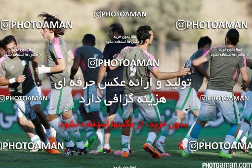 426248, Tehran, [*parameter:4*], لیگ برتر فوتبال ایران، Persian Gulf Cup، Week 7، First Leg، Naft Tehran 2 v 1 Mashin Sazi Tabriz on 2016/09/21 at Takhti Stadium