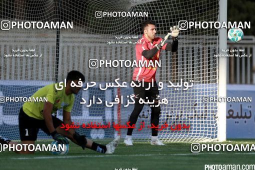426232, Tehran, [*parameter:4*], لیگ برتر فوتبال ایران، Persian Gulf Cup، Week 7، First Leg، Naft Tehran 2 v 1 Mashin Sazi Tabriz on 2016/09/21 at Takhti Stadium