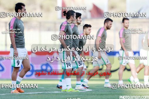 426262, Tehran, [*parameter:4*], لیگ برتر فوتبال ایران، Persian Gulf Cup، Week 7، First Leg، Naft Tehran 2 v 1 Mashin Sazi Tabriz on 2016/09/21 at Takhti Stadium