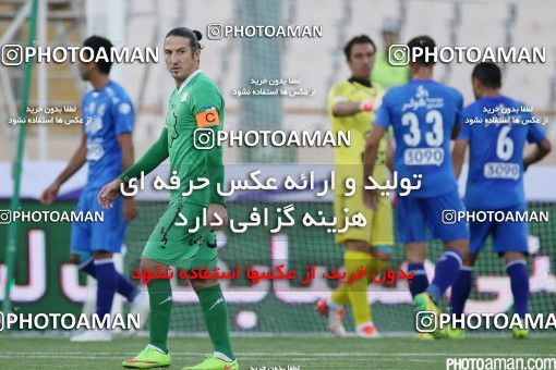 430608, Tehran, [*parameter:4*], لیگ برتر فوتبال ایران، Persian Gulf Cup، Week 5، First Leg، Esteghlal 1 v 1 Mashin Sazi Tabriz on 2016/09/11 at Azadi Stadium
