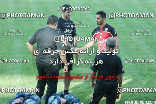437119, جلسه تمرینی تیم فوتبال پرسپولیس، 1395/04/27، ، تهران، ورزشگاه شهید کاظمی