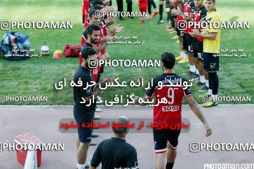 437125, جلسه تمرینی تیم فوتبال پرسپولیس، 1395/04/27، ، تهران، ورزشگاه شهید کاظمی