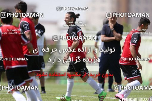 446944, Tehran, Iran, Iran Football Team Training Session on 2016/05/23 at Research Institute of Petroleum Industry