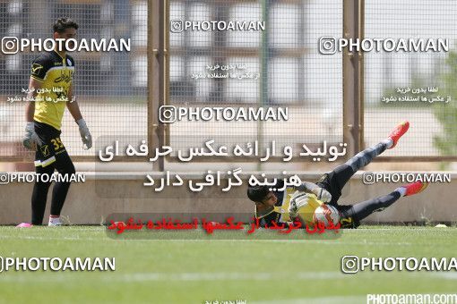 447026, Tehran, Iran, Iran Football Team Training Session on 2016/05/23 at Research Institute of Petroleum Industry
