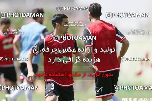 446931, Tehran, Iran, Iran Football Team Training Session on 2016/05/23 at Research Institute of Petroleum Industry