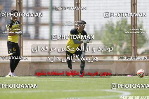 447027, Tehran, Iran, Iran Football Team Training Session on 2016/05/23 at Research Institute of Petroleum Industry