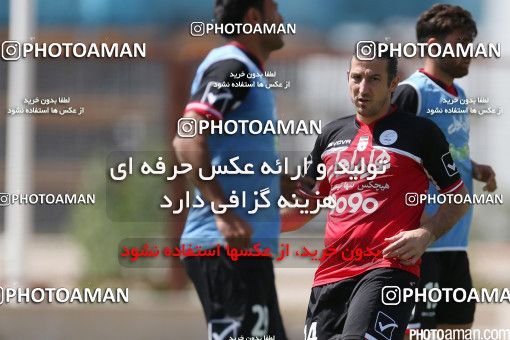 446905, Tehran, Iran, Iran Football Team Training Session on 2016/05/23 at Research Institute of Petroleum Industry