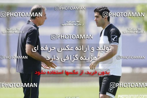 446983, Tehran, Iran, Iran Football Team Training Session on 2016/05/23 at Research Institute of Petroleum Industry