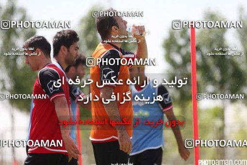 446976, Tehran, Iran, Iran Football Team Training Session on 2016/05/23 at Research Institute of Petroleum Industry