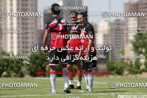 446819, Tehran, Iran, Iran Football Team Training Session on 2016/05/23 at Research Institute of Petroleum Industry