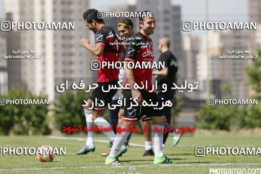 446809, Tehran, Iran, Iran Football Team Training Session on 2016/05/23 at Research Institute of Petroleum Industry
