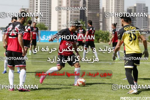446795, Tehran, Iran, Iran Football Team Training Session on 2016/05/23 at Research Institute of Petroleum Industry