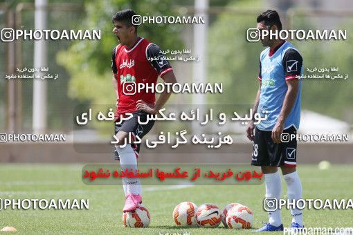446962, Tehran, Iran, Iran Football Team Training Session on 2016/05/23 at Research Institute of Petroleum Industry