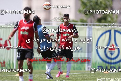 447047, Tehran, Iran, Iran Football Team Training Session on 2016/05/23 at Research Institute of Petroleum Industry