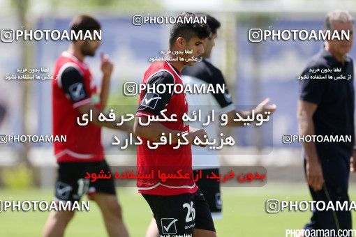 446997, Tehran, Iran, Iran Football Team Training Session on 2016/05/23 at Research Institute of Petroleum Industry
