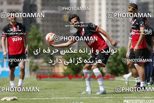 446811, Tehran, Iran, Iran Football Team Training Session on 2016/05/23 at Research Institute of Petroleum Industry