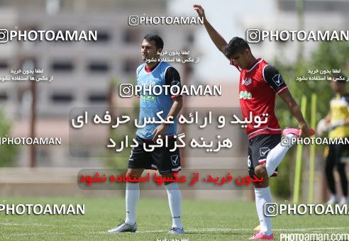 446916, Tehran, Iran, Iran Football Team Training Session on 2016/05/23 at Research Institute of Petroleum Industry