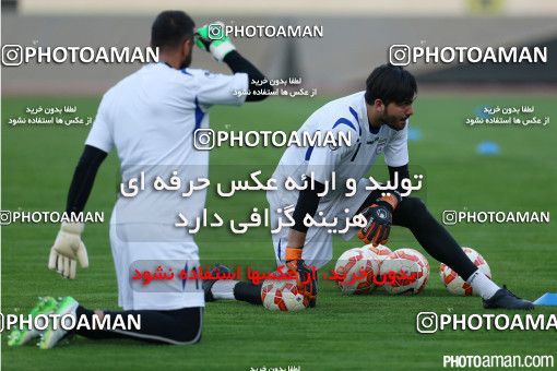 465366, Tehran, , Iran National Football Team Training Session on 2015/10/11 at Azadi Stadium