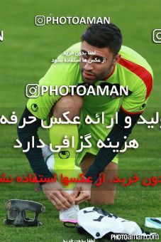 464923, Tehran, , Iran National Football Team Training Session on 2015/10/11 at Azadi Stadium