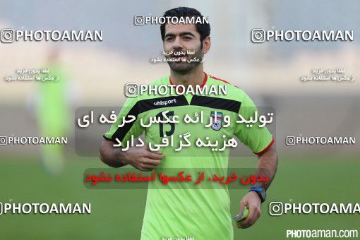 465340, Tehran, , Iran National Football Team Training Session on 2015/10/11 at Azadi Stadium
