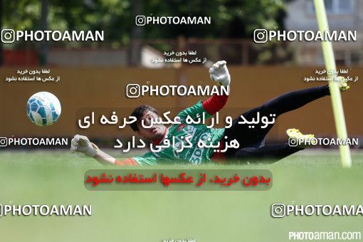 503624, جلسه تمرینی تیم فوتبال پرسپولیس، 1395/01/28، ، تهران، ورزشگاه شهید درفشی فر