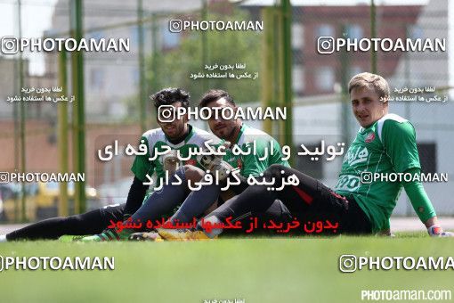 503622, جلسه تمرینی تیم فوتبال پرسپولیس، 1395/01/28، ، تهران، ورزشگاه شهید درفشی فر