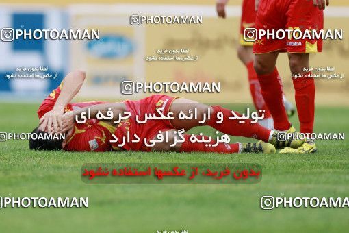 571173, Tehran, [*parameter:4*], لیگ برتر فوتبال ایران، Persian Gulf Cup، Week 21، Second Leg، Naft Tehran 0 v 0 Paykan on 2017/02/09 at Takhti Stadium
