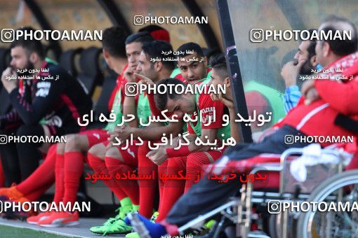 593519, Tehran, [*parameter:4*], لیگ برتر فوتبال ایران، Persian Gulf Cup، Week 28، Second Leg، Persepolis 0 v 0 Padideh Mashhad on 2017/04/19 at Azadi Stadium