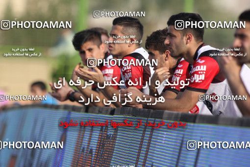 617443, Abadan, [*parameter:4*], لیگ برتر فوتبال ایران، Persian Gulf Cup، Week 25، Second Leg، Sanat Naft Abadan 1 v 0 Persepolis on 2017/04/01 at Takhti Stadium Abadan