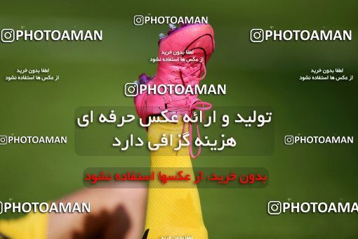 612440, Isfahan, [*parameter:4*], لیگ برتر فوتبال ایران، Persian Gulf Cup، Week 17، Second Leg، Sepahan 2 v 1 Naft Tehran on 2017/01/18 at Naghsh-e Jahan Stadium